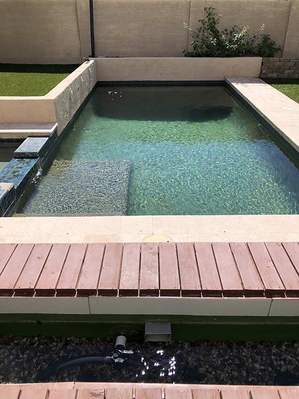 Natural Swimming Pool Conversion in Scottsdale, AZ