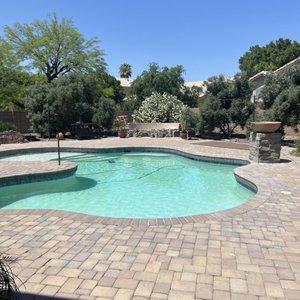 Natural Swimming Pool - Customer's Pool